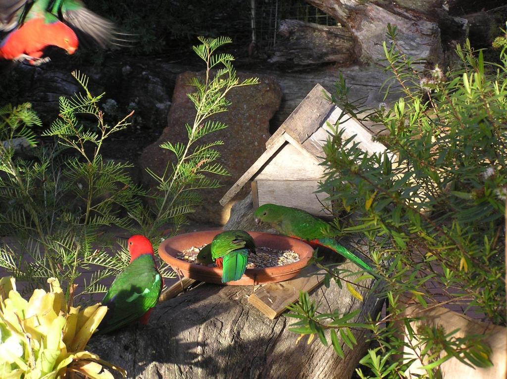 Kianinny Bush Cottages Tathra Εξωτερικό φωτογραφία